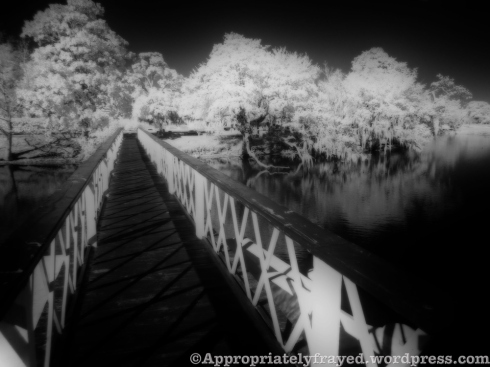 cemeterybridgeirbw-blur-web